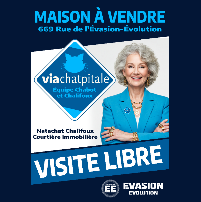 Poster 3 Visite Libre, aventure immersive pour ceux et celles qui aiment les chats, chez Évasion Évolution, jeux d'évasion, aventures immersives, escape rooms, à Blainville.